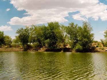 В Узбекистане будет создана новая природоохранная территория – Нижне-Амударьинский государственный биосферный резерват