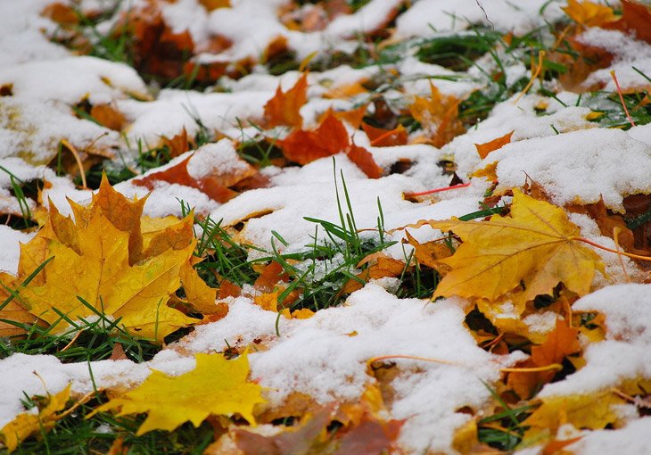 Узгидромет прогнозирует первый снег 1 ноября