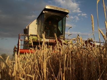 В Узбекистане разрабатывается Программа развития сельского хозяйства до 2019 года