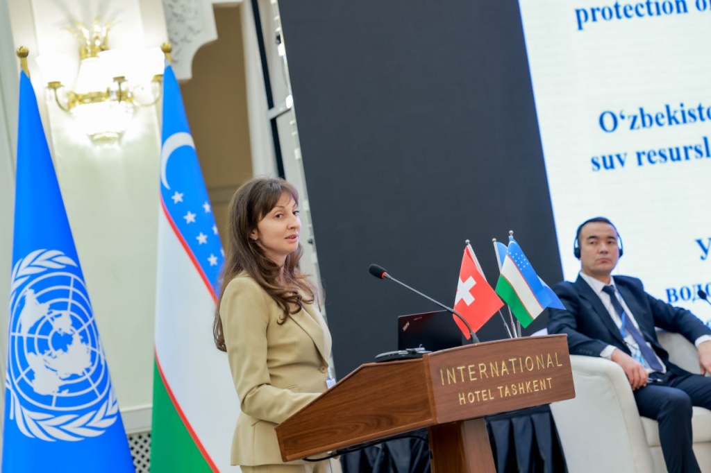 Комиссия ООН поможет улучшить санитарию и защиту водных ресурсов Узбекистана