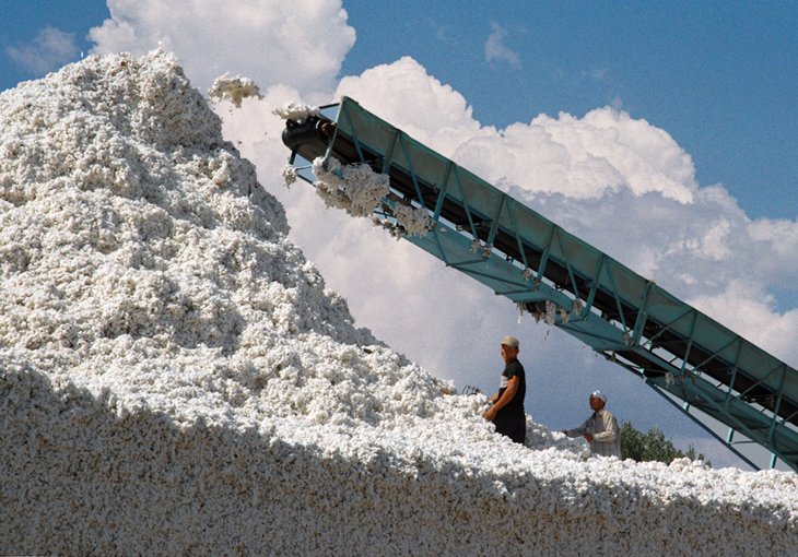 Узбекистан продал 700 тысяч тонн хлопкового волокна 