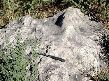 В Ташкентской области найдены следы динозавров