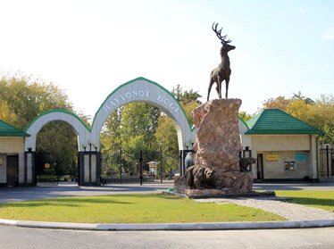Ташкентский зоопарк запретил проносить продукты питания из-за боязни за здоровье животных