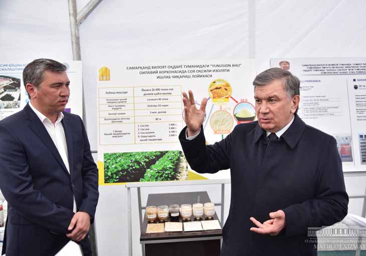 В Узбекистане создадут ассоциацию производителей сои