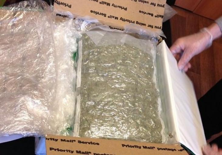 В Янгиере задержали наркоторговца с 4 кг марихуаны 