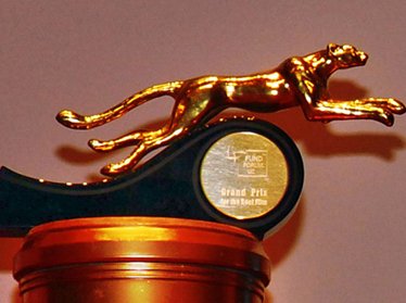 Стали известны подробности  проведения кинофестиваля «Золотой гепард» 