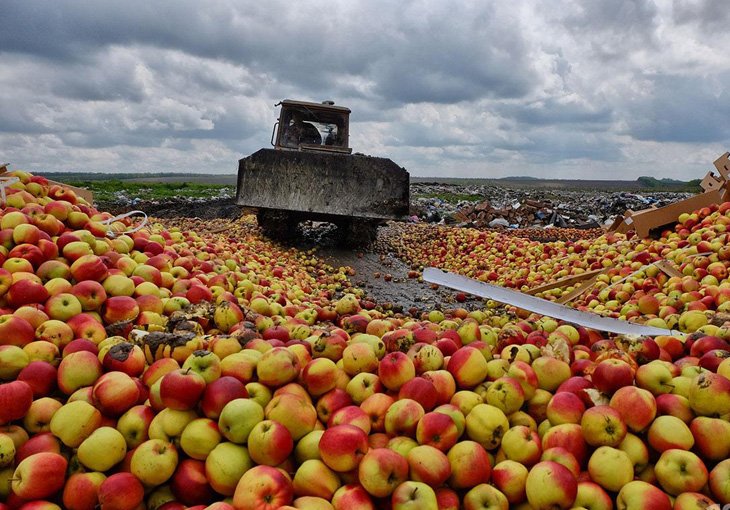 Почти полтонны фруктов из Узбекистана уничтожено в аэропорту Хабаровска