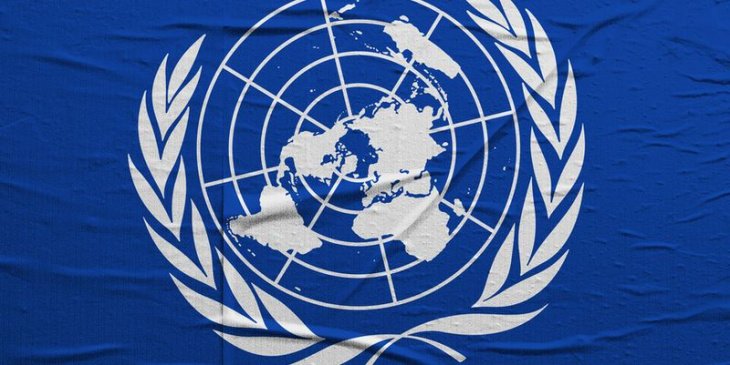 Узбекистан с визитом посетит делегация Специального докладчика Совета ООН по правам человека