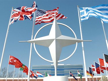 НАТО предоставило Узбекистану спецоборудование 