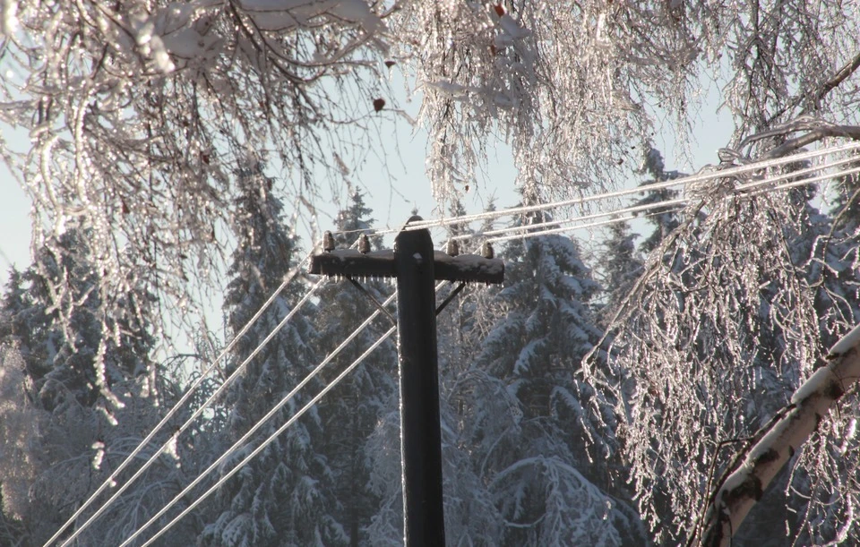 В Джизакской области непогода оставила без электричества более 1,5 тысяч жителей