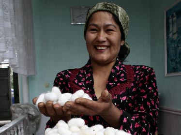 В этом сезоне в Узбекистане произведено 25 тысяч тонн шелковой нити 