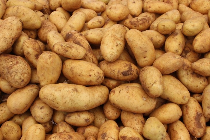 Узбекистан намерен решить проблемы с дефицитом собственной картошки 