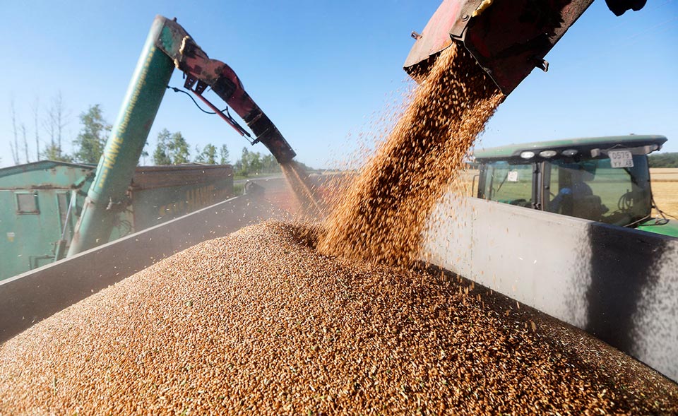 Узбекистан в будущем году полностью переведет продажу зерна на рыночные рельсы 