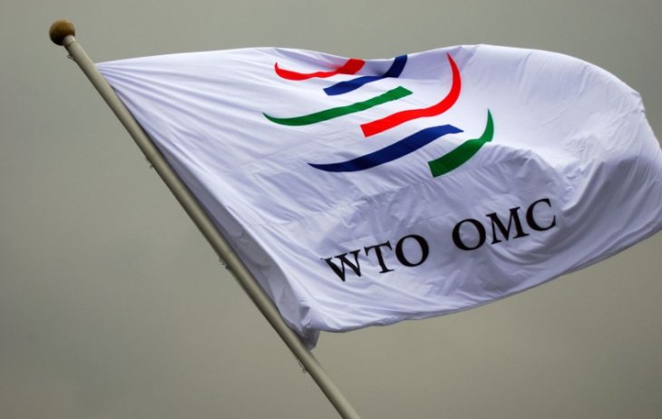 Министр: процесс присоединения Узбекистана к ВТО может занять годы 