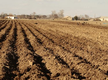 В Узбекистане стартует проект Всемирного банка по восстановлению  деградированных земель