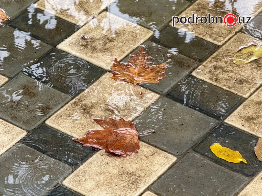 Ташкент переживает один из самых засушливых годов за последние 100 лет