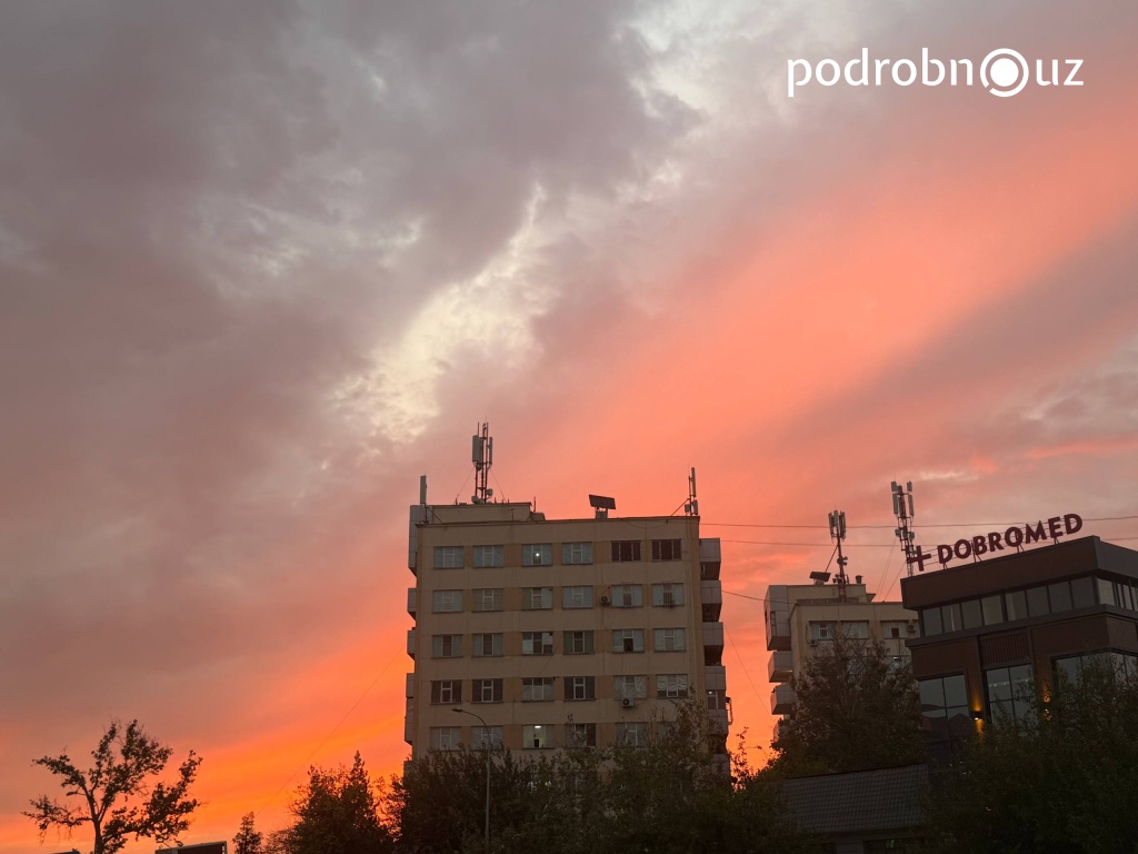 Местами кратковременные дожди. Узгидромет рассказал, какой будет погода в выходные