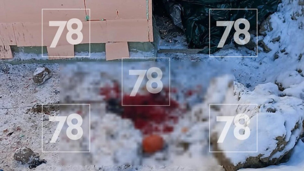 На стройке в Санкт-Петербурге погиб рабочий из Узбекистана