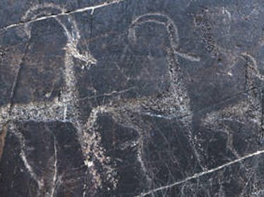 Участникам «Асрлар садоси» в этом году покажут петроглифы ущелья Сармышсай