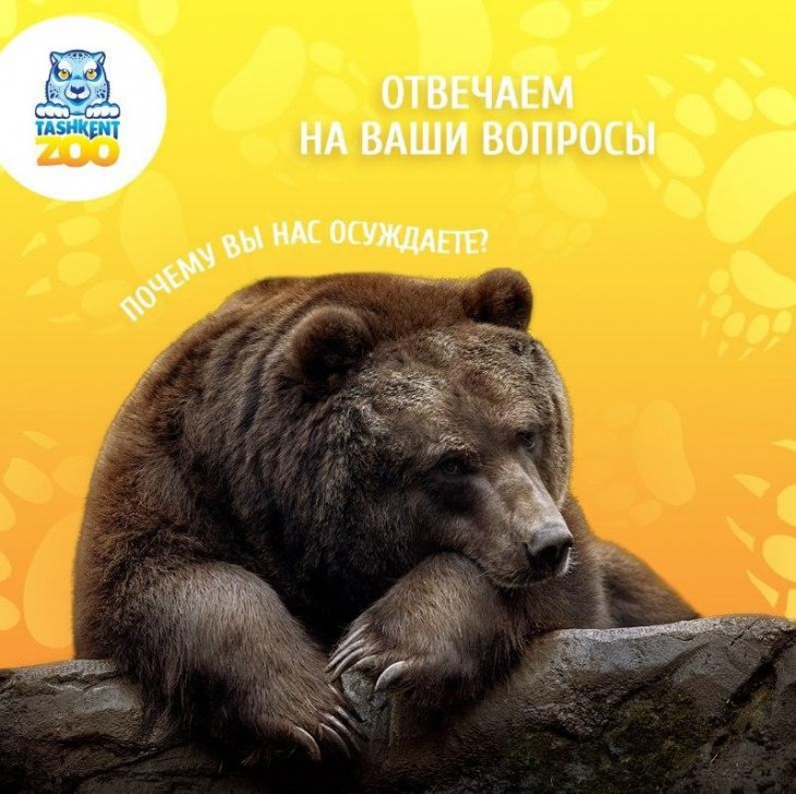 Ташкентский зоопарк ответил на обвинения пользователей соцсетей
