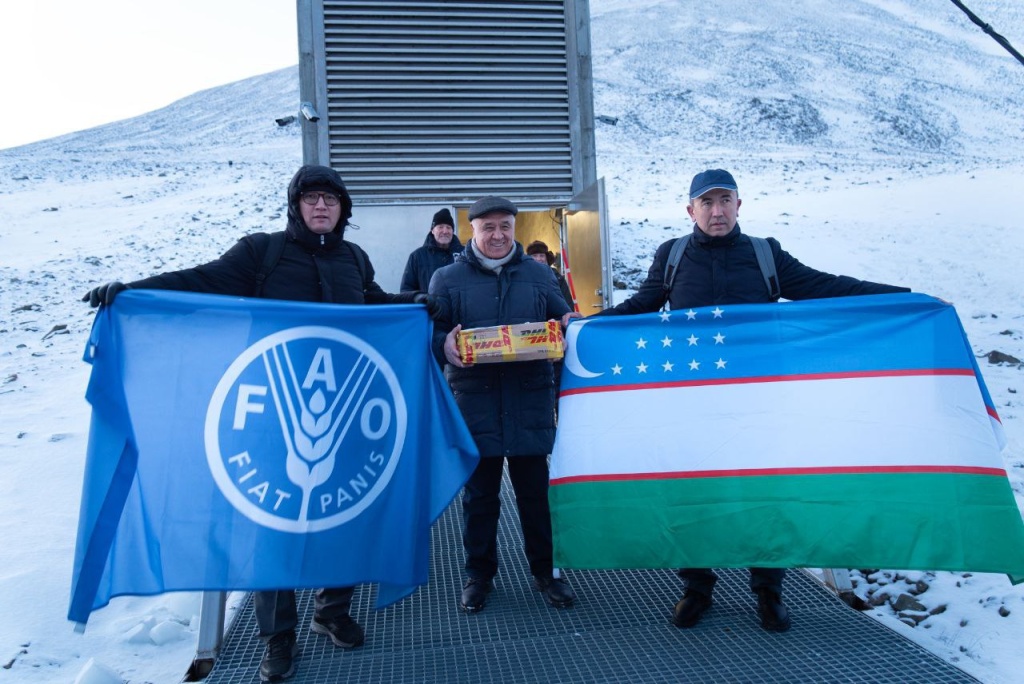 Бесценный резерв. Узбекистан заморозил семена своих культур в хранилище на полярном архипелаге Бесценный резерв. Узбекистан заморозил семена своих культур в хранилище на полярном архипелаге