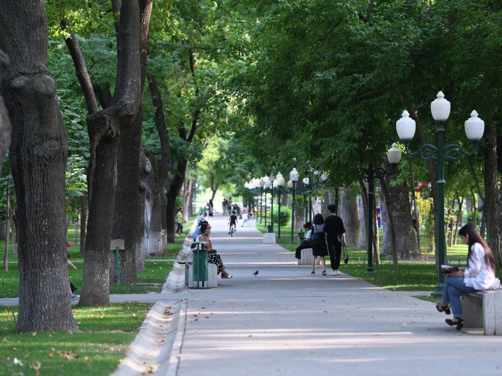 Хокимият Ташкента принял комплексный генплан по озеленению столицы 