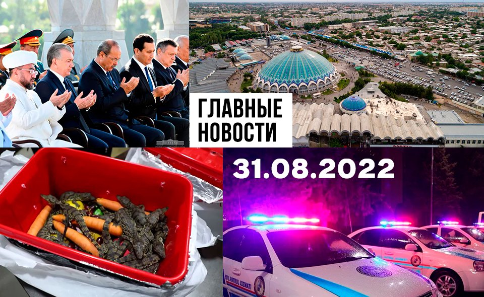 Продайте фото, "крутой" водила и не можешь победить – возглавь. Новости Узбекистана: главное на 31 августа