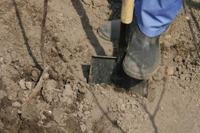 Житель Самаркандской области закопал труп жены в одной из комнат своего дома