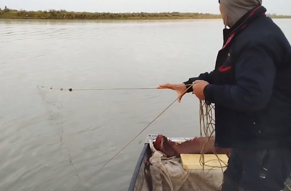 Сырдарьинский детектив. Браконьеры подожгли лодку экоинспекторов и пытались утопить их в реке
