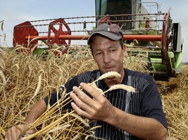 Узбекских фермеров пригласили во Всемирную организацию фермеров