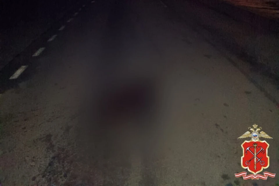 Узбекистанец на Matiz в Ленинградской области насмерть сбил пешехода