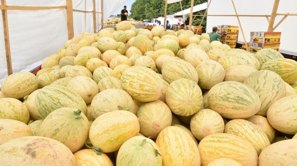 Узбекистан заработал 16,7 миллиона долларов на экспорте дынь