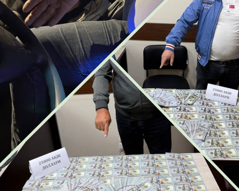 Правоохранители пресекли попытку мошенничества с землей в Ташкентской области