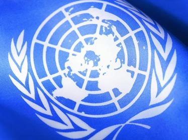 ООН в 2014 году выделит Узбекистану около $25 млн. 