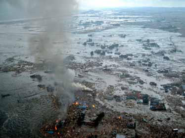 В Ташкенте откроется выставка, посвященная разрушительному стихийному бедствию на востоке Японии