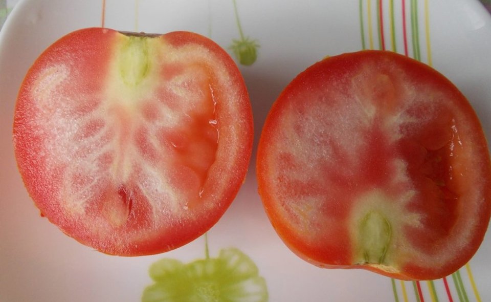 Красные снаружи, белые внутри. Что за хитровыведенные помидоры продают на рынках Узбекистана