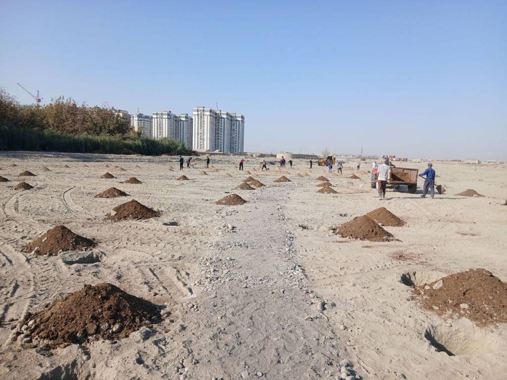 В Самарканде пустырь у берега реки Зарафшан превратится в парк ЮНЕСКО В Самарканде пустырь у берега реки Зарафшан превратится в парк ЮНЕСКО