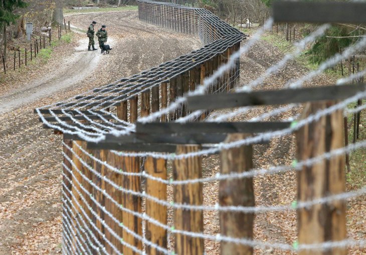 СНБ Узбекистана опровергла информацию о задержании скота на границе 
