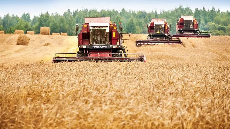 Узбекистан арендует 4 тысячи гектаров земли в Беларуси для разведения скота