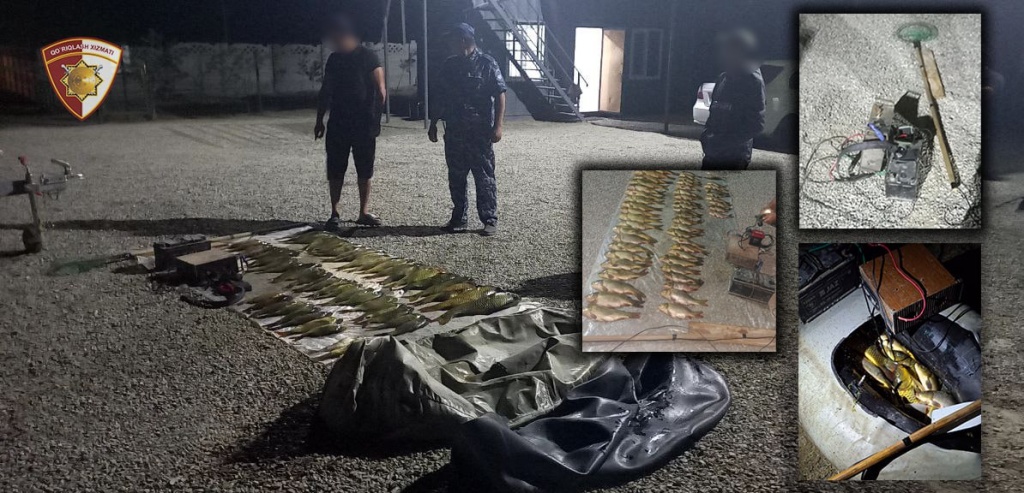 За рыбалку запрещенным в Узбекистане способом браконьеры заплатят более миллиарда сумов штрафа