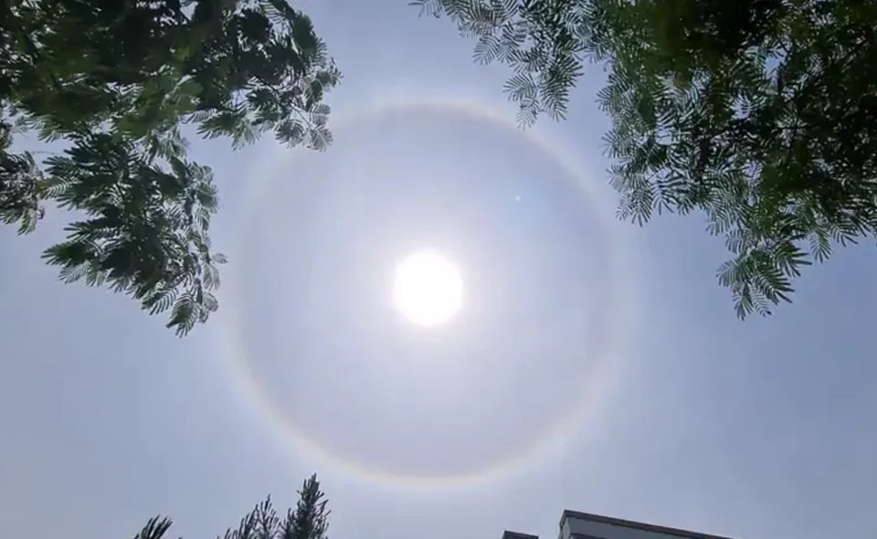 В Узбекистане заметили редкое природное явление – солнечное гало. Видео 