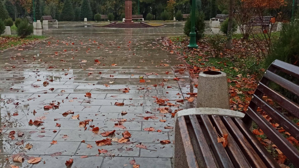 Прохладно, местами дожди. Синоптики рассказали о погоде в Узбекистане на неделю