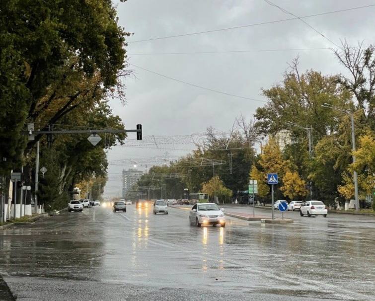 Местами дождь и ветер. Синоптики рассказали о погоде в Узбекистане на неделю