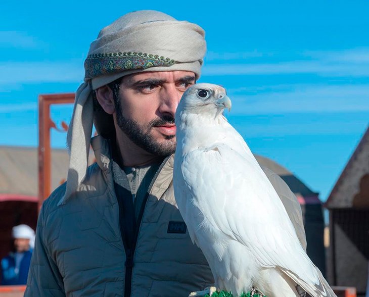 Наследный принц Дубая опубликовал новые кадры с охоты в Узбекистане. Фотолента  