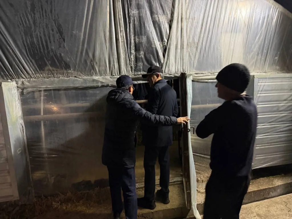 Теплицы в Ташкенте и пригородах переведут на газ. За сжигание шин и мазута введут уголовную ответственность