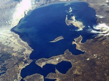 Осушенное дно Аральского моря будет засажено лесом