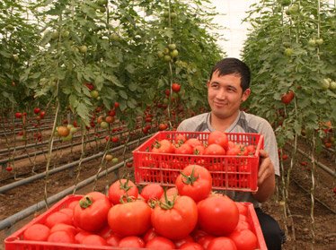 Всемирный банк выделил Узбекистану $150 млн. на развитие плодоовощеводства 