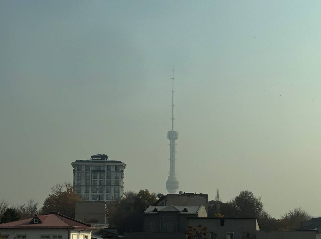 Заводы перенесут, теплицам дадут газ. Власти представили план спасения воздуха Ташкента