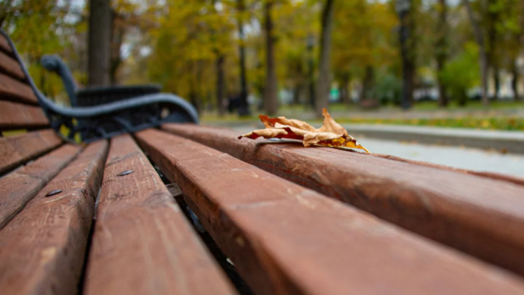 Тепло возвращается. Синоптики поделились прогнозом на выходные