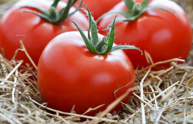 Большая часть семян помидоров и огурцов в Узбекистан завозится из-за рубежа – эксперт 